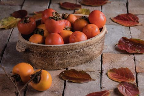Persimmon (Kaki)